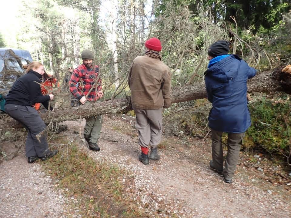 Klikk for stort bilde