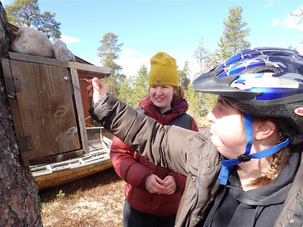 Klikk for stort bilde