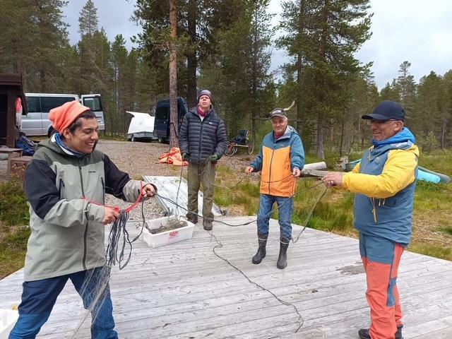Klikk for stort bilde