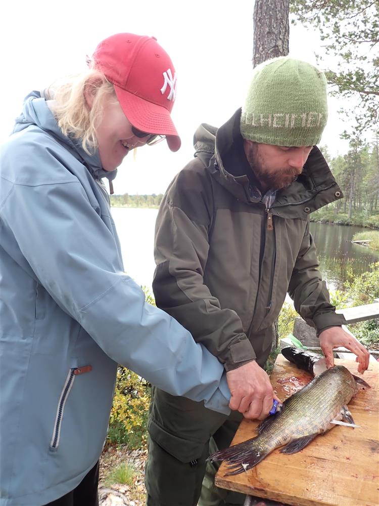 Klikk for stort bilde