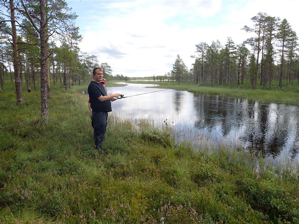 Klikk for stort bilde