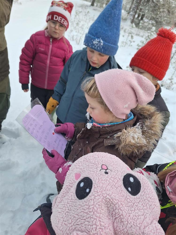 Klikk for stort bilde