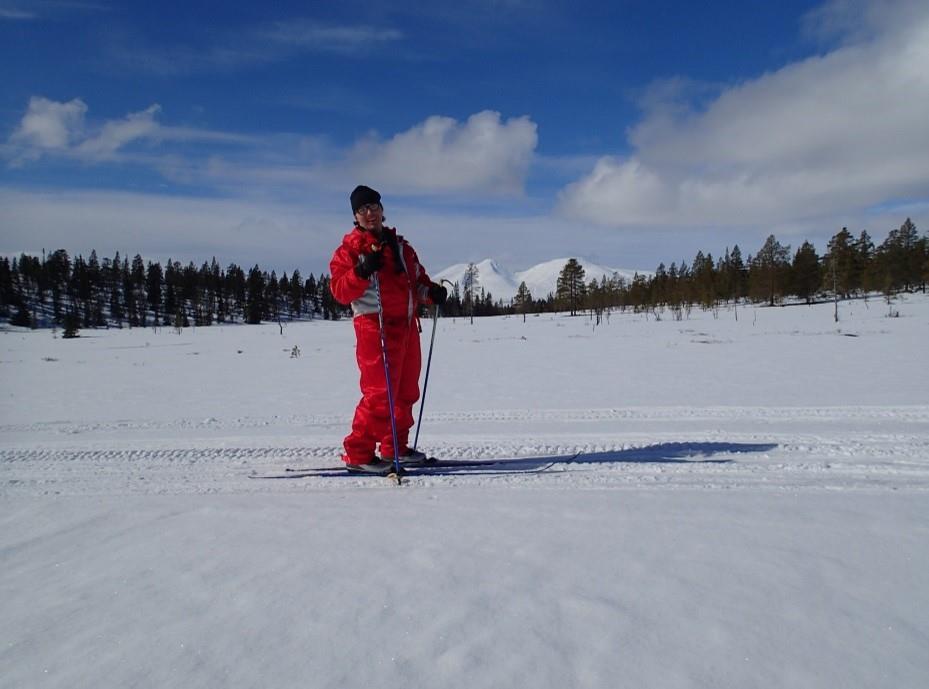 Klikk for stort bilde