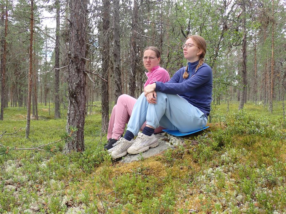 Klikk for stort bilde