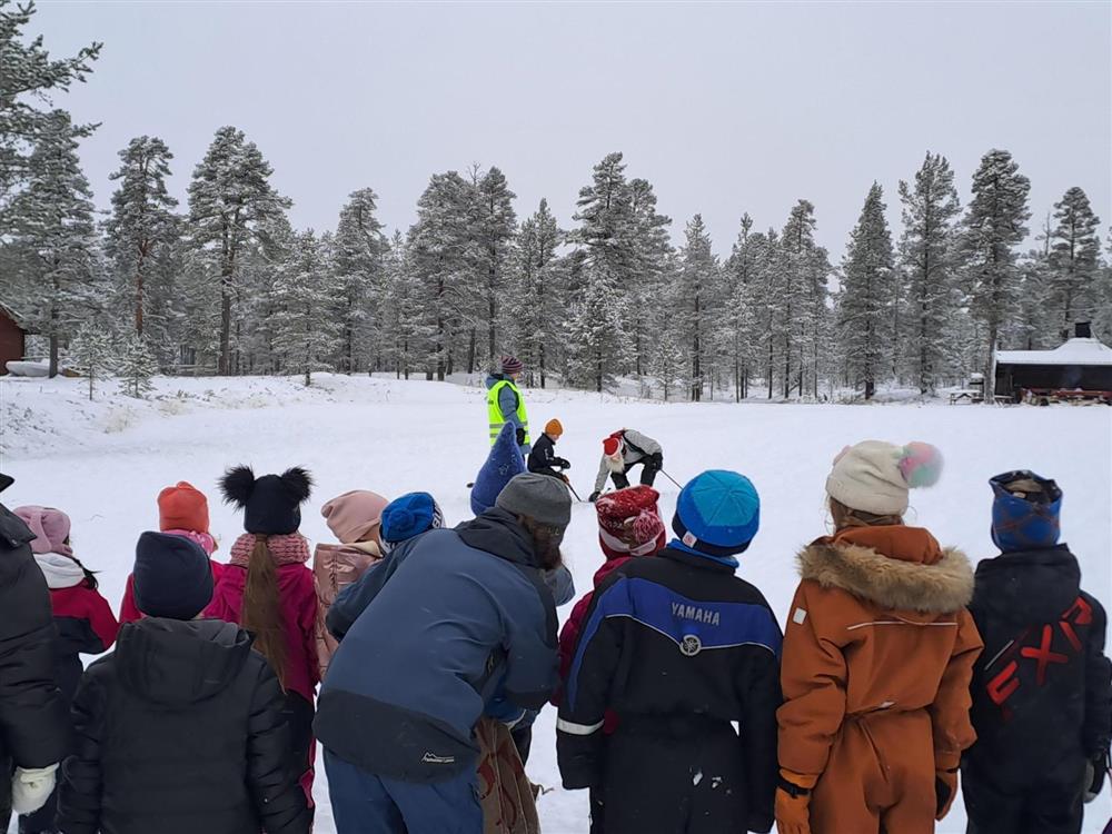 Klikk for stort bilde