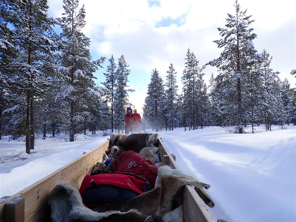 Klikk for stort bilde