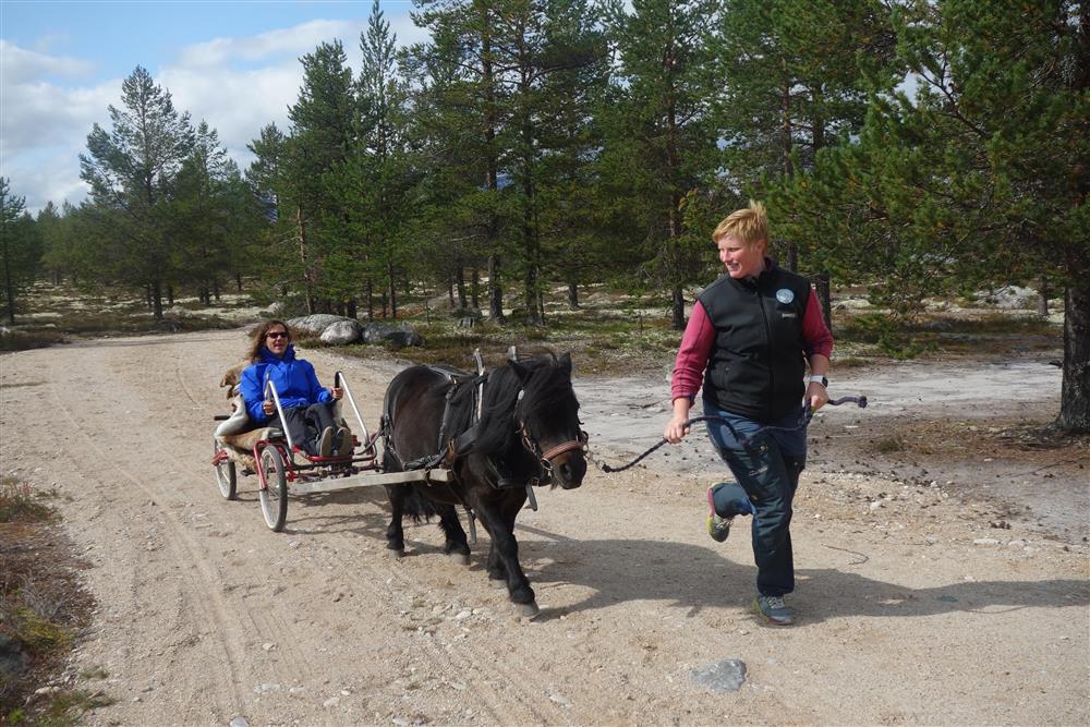 Klikk for stort bilde
