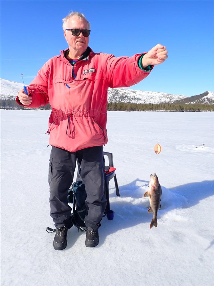 Klikk for stort bilde