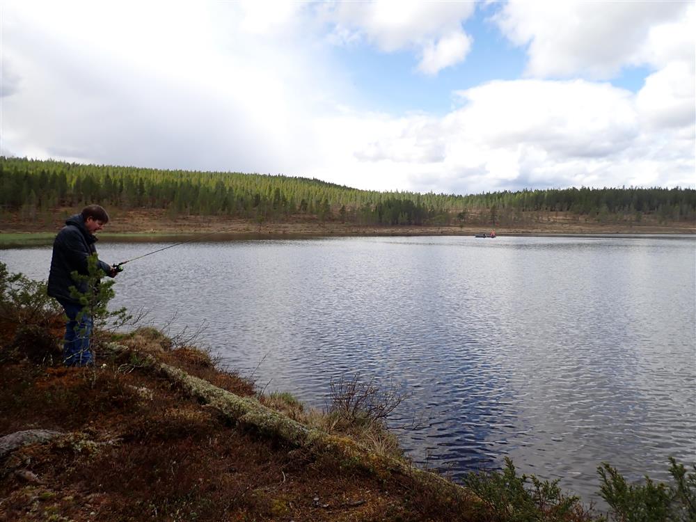 Klikk for stort bilde