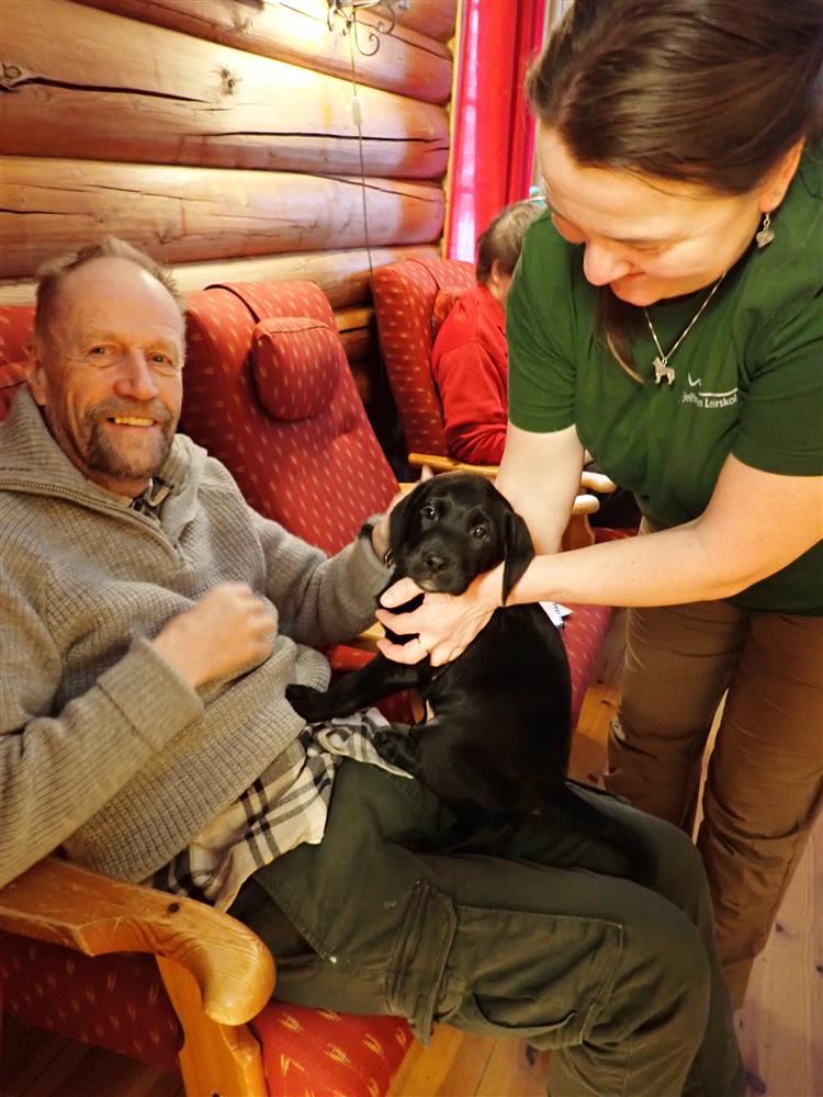 Klikk for stort bilde