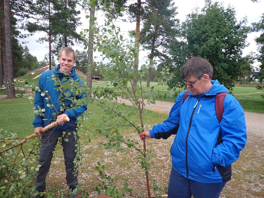 Klikk for stort bilde