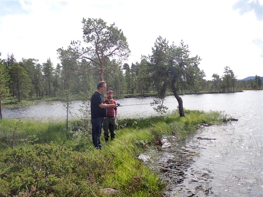 Klikk for stort bilde