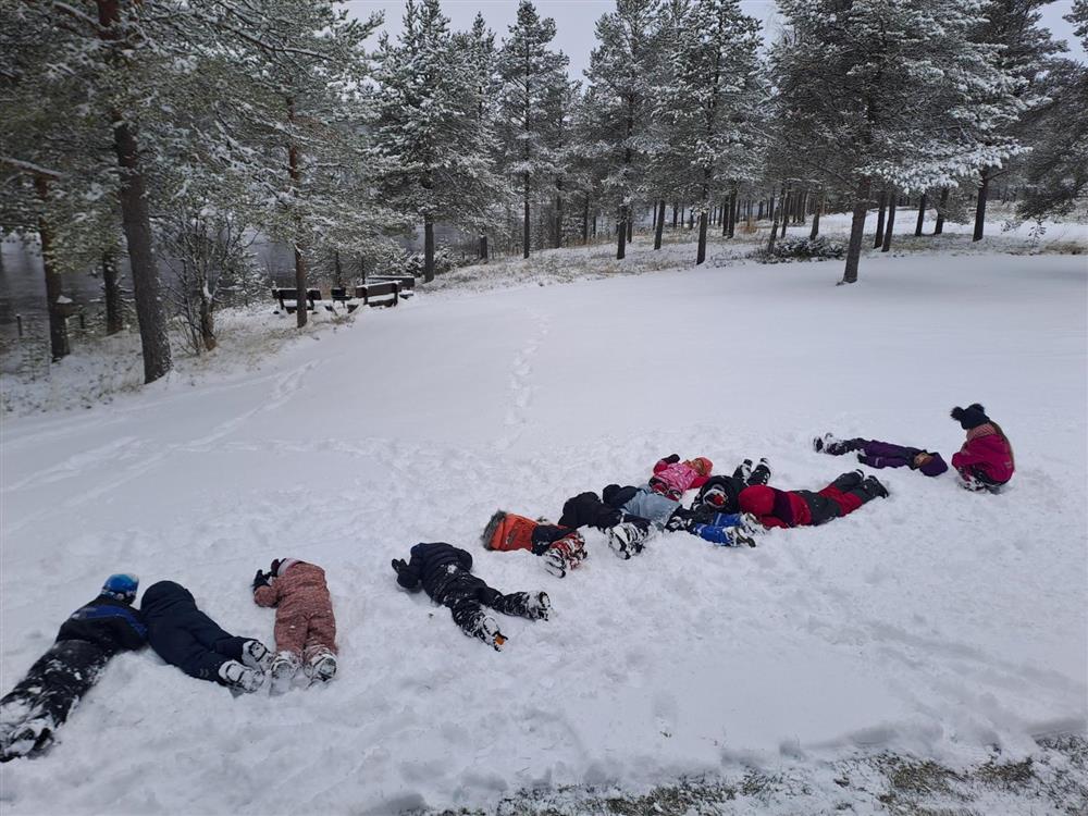 Klikk for stort bilde