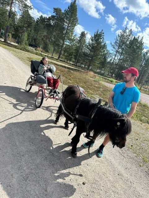 Klikk for stort bilde