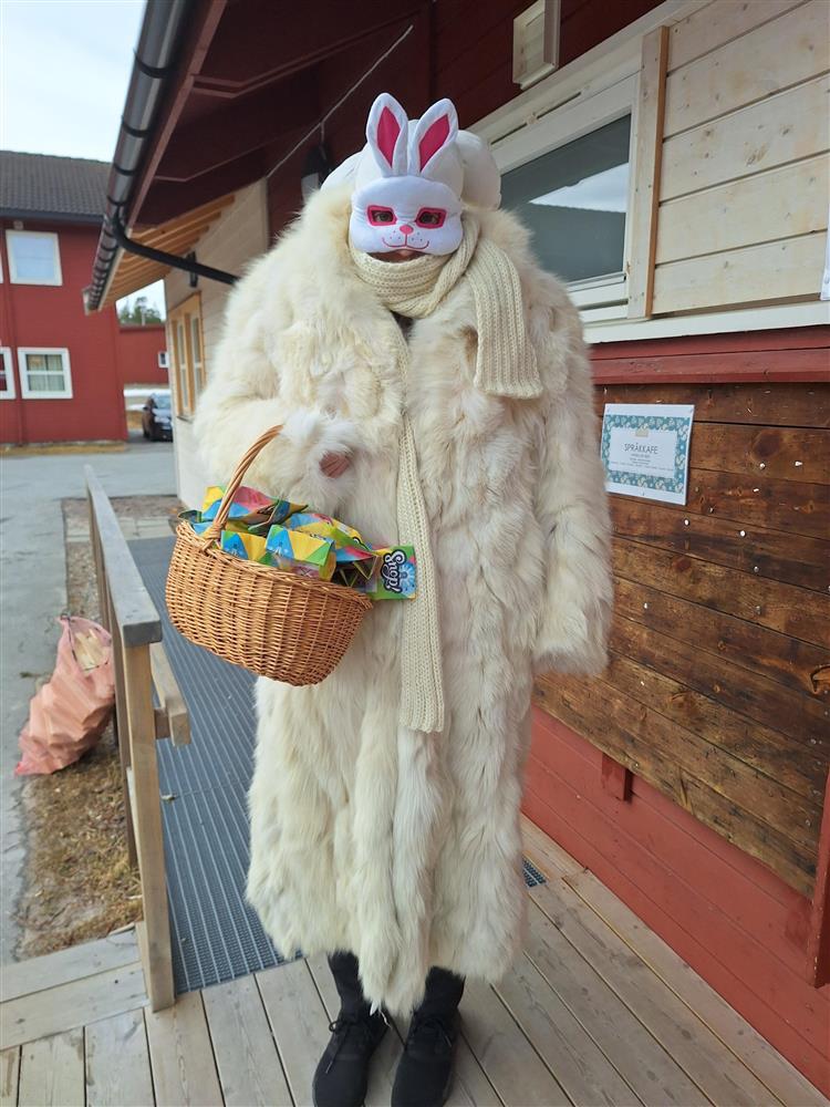 Påskeharen - Klikk for stort bilde