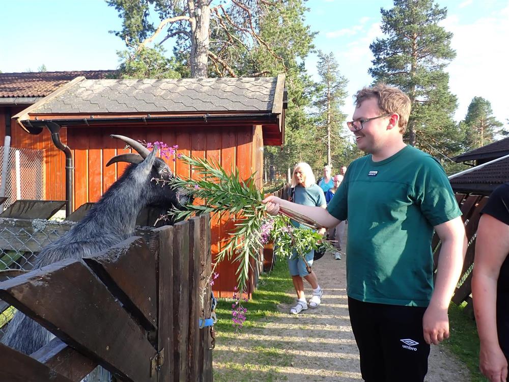 Klikk for stort bilde