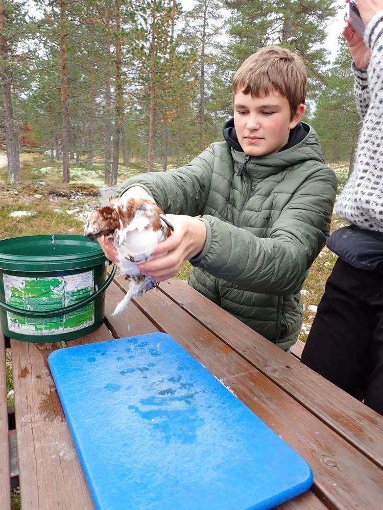 Klikk for stort bilde