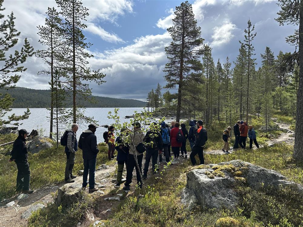 Klikk for stort bilde