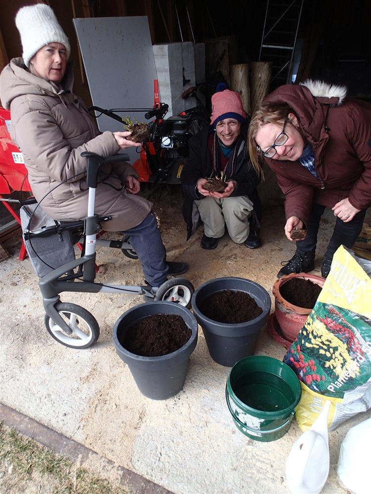 Klikk for stort bilde