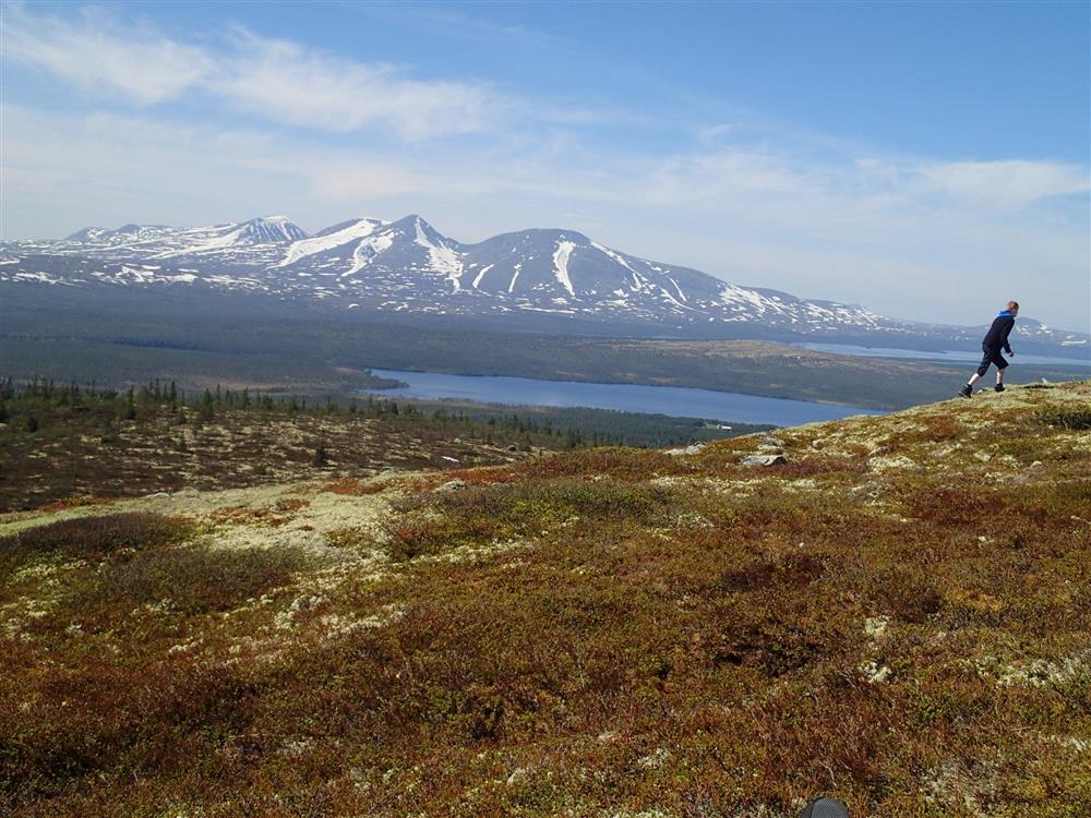 Klikk for stort bilde