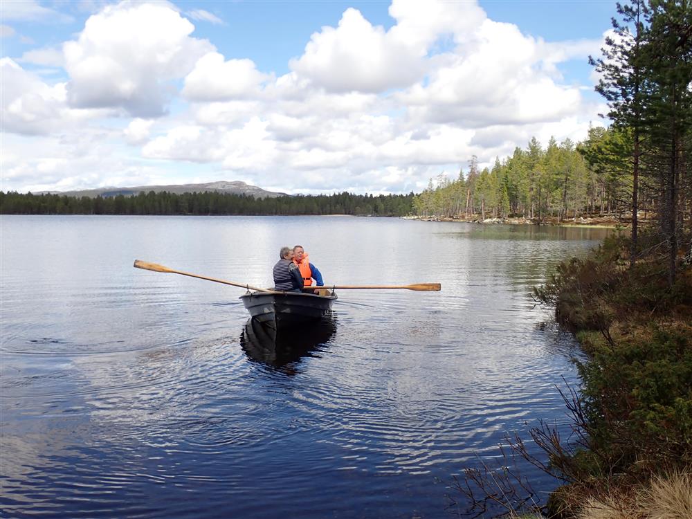 Klikk for stort bilde