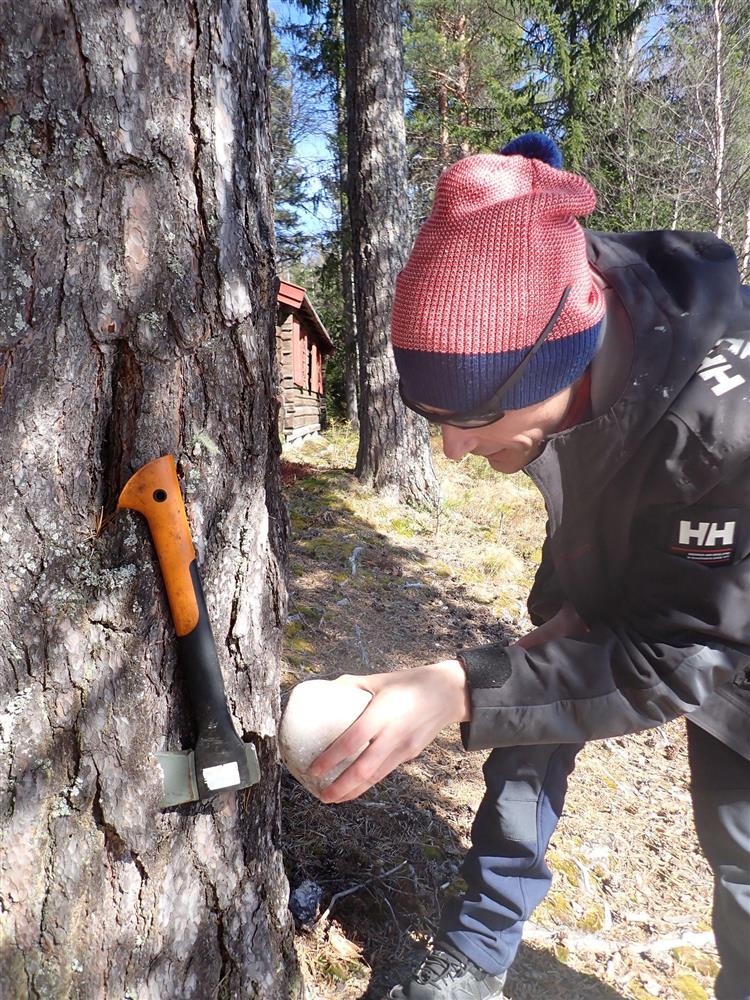 Klikk for stort bilde