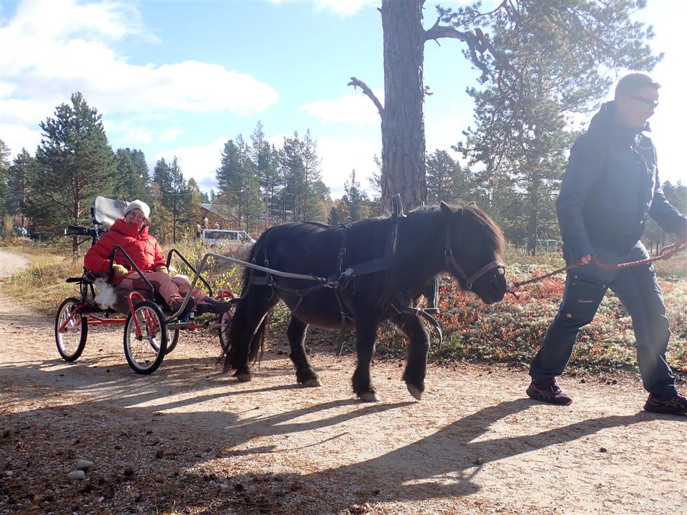 Klikk for stort bilde