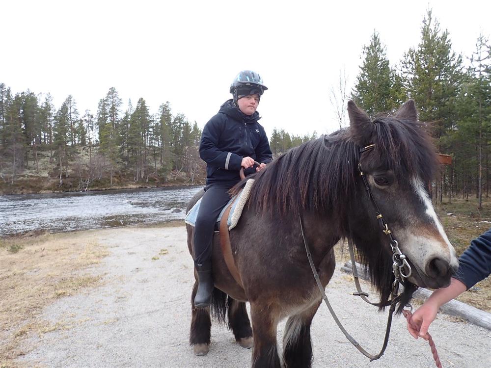 Klikk for stort bilde