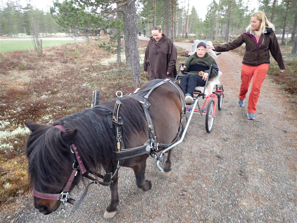 Klikk for stort bilde