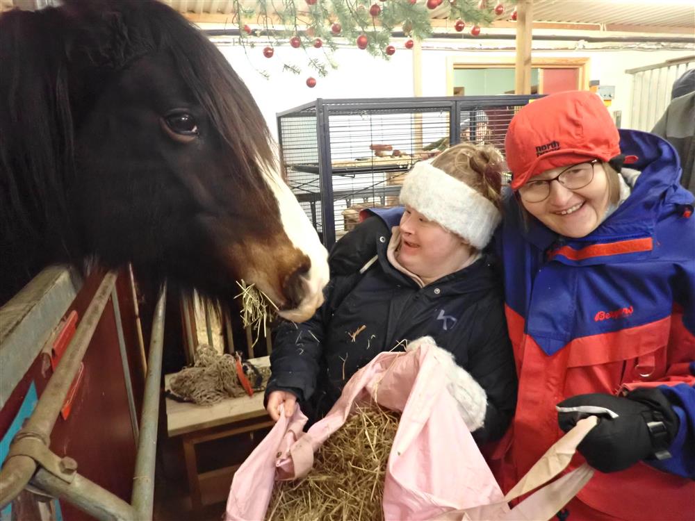 Klikk for stort bilde