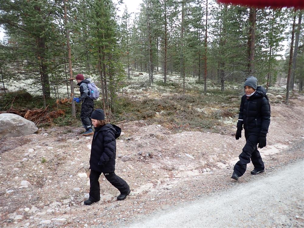 Klikk for stort bilde