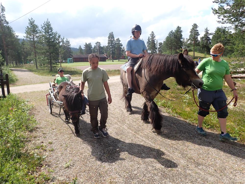 Klikk for stort bilde