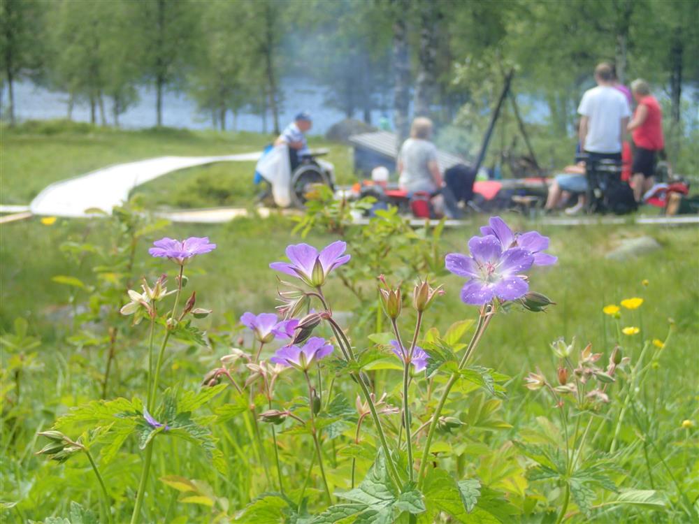 Klikk for stort bilde