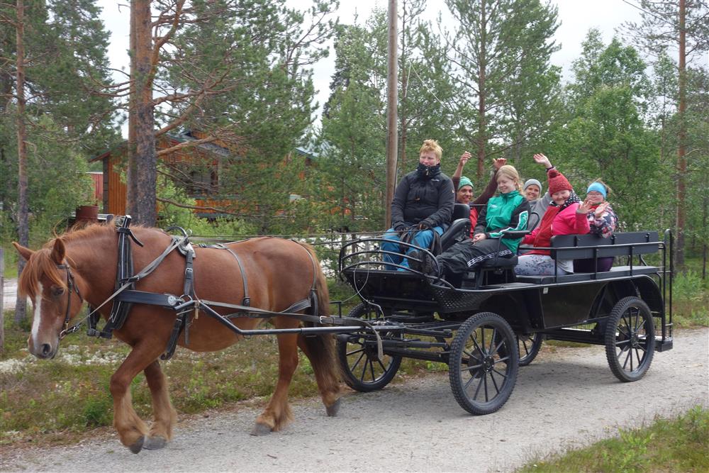 Klikk for stort bilde