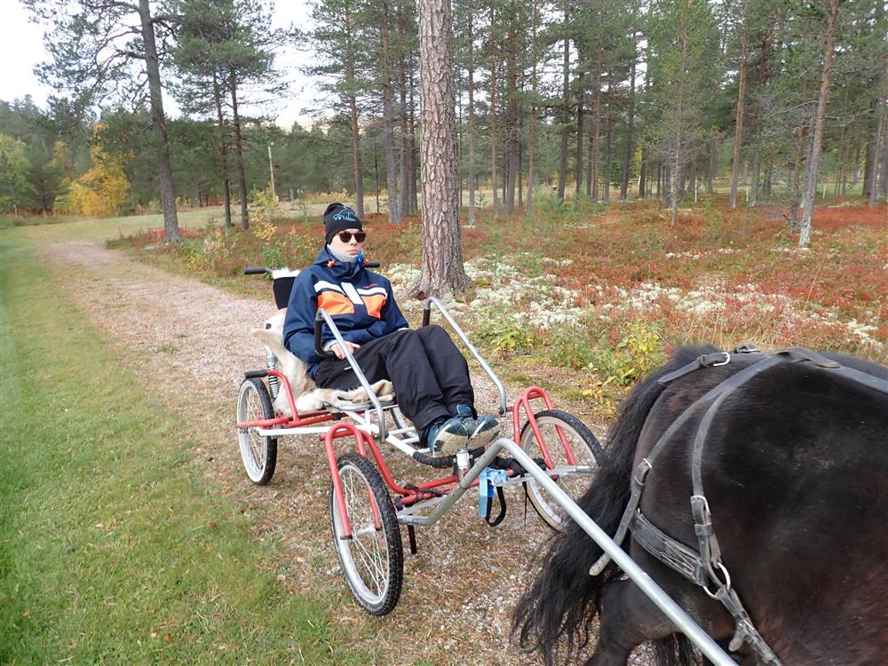 Klikk for stort bilde