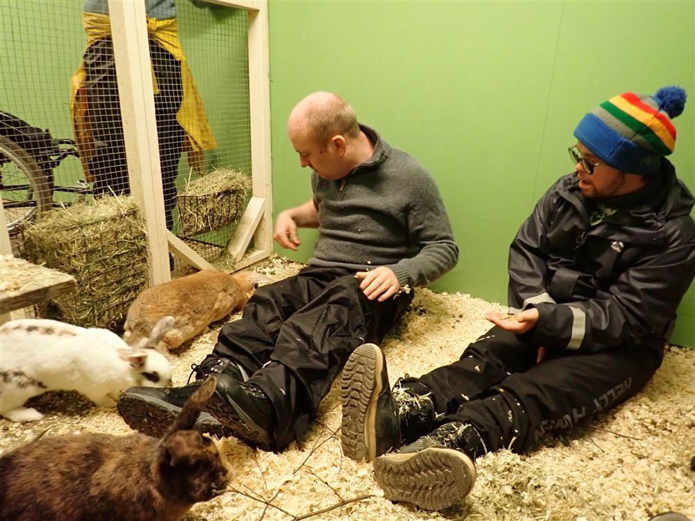 Klikk for stort bilde