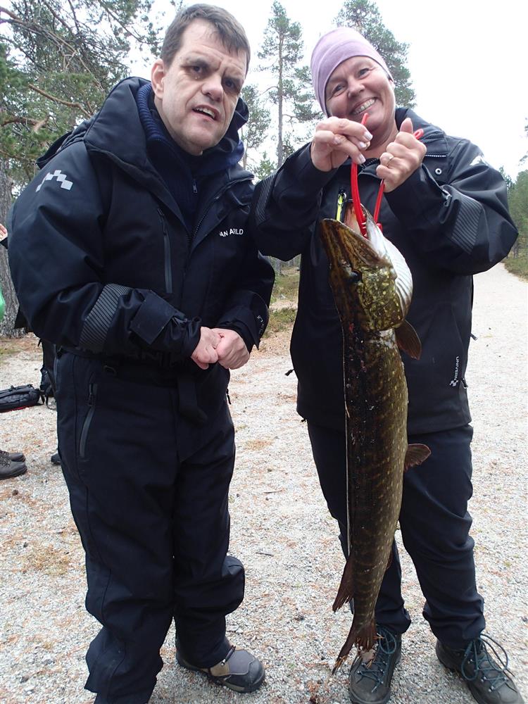 Klikk for stort bilde