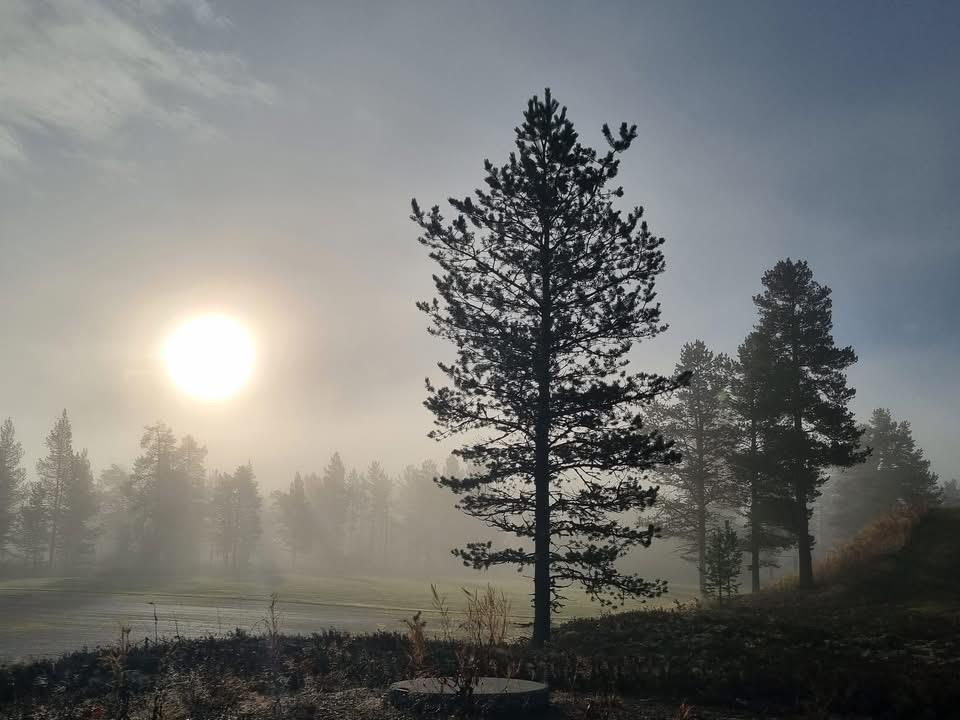 Klikk for stort bilde