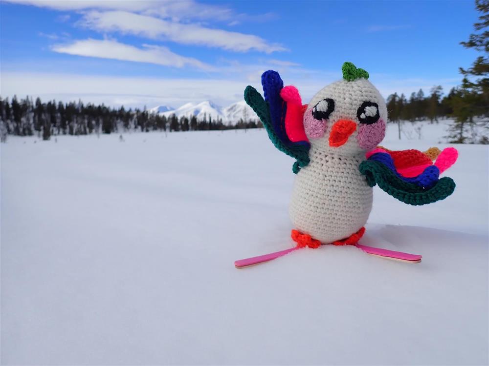 Klikk for stort bilde