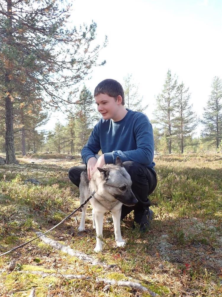 Klikk for stort bilde