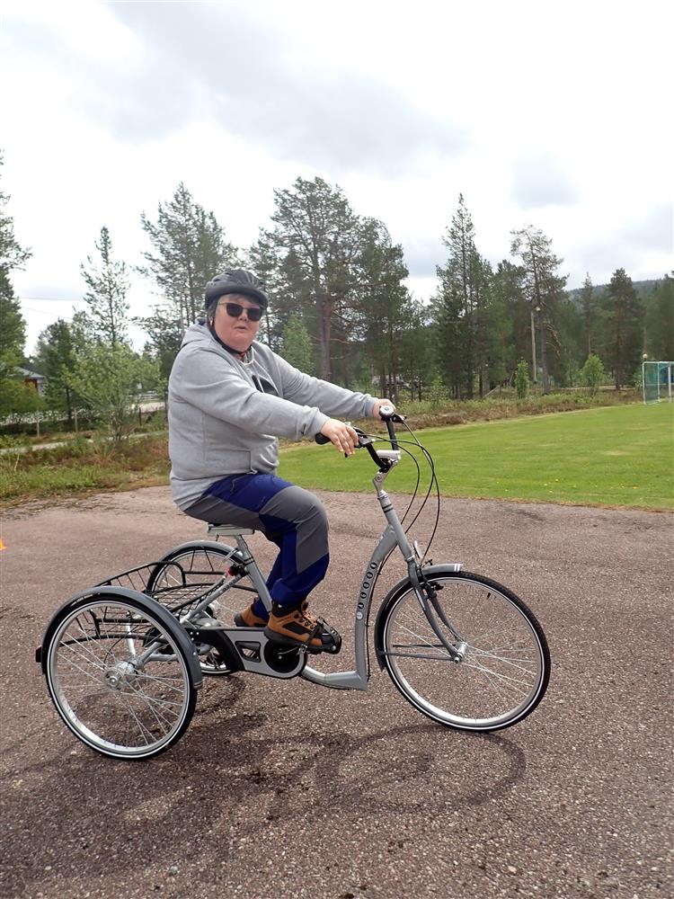 Klikk for stort bilde