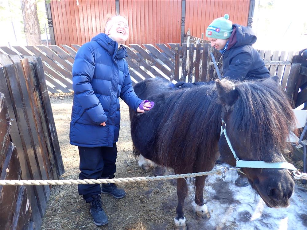 Klikk for stort bilde