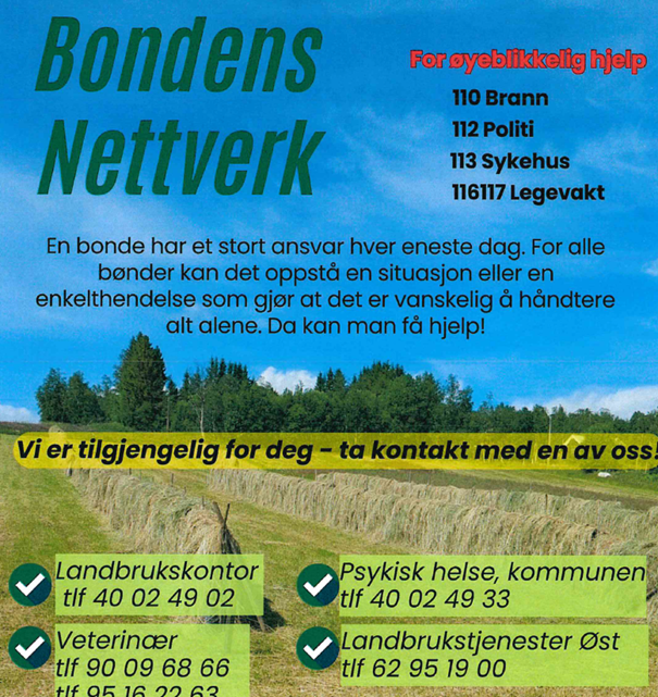 Plakatbilde - Klikk for stort bilde