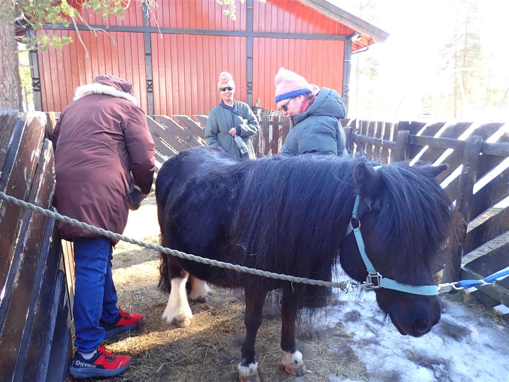 Klikk for stort bilde