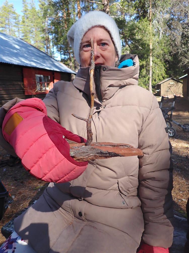 Klikk for stort bilde