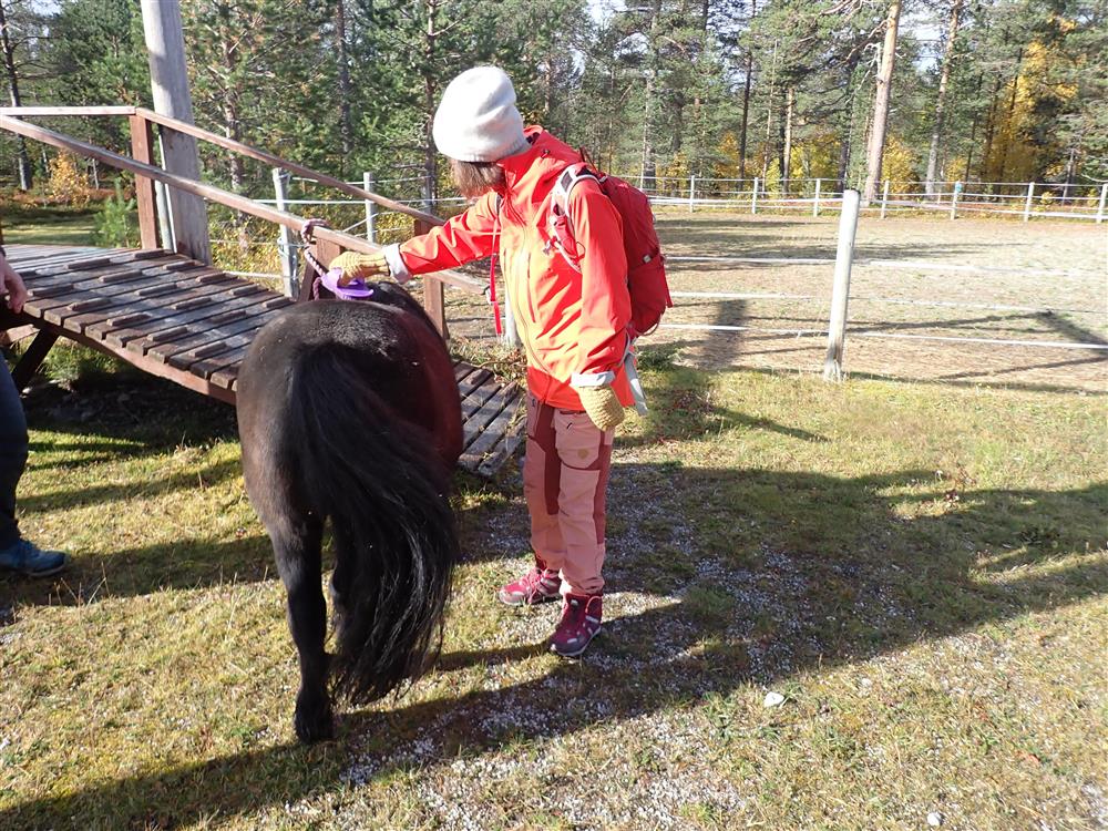 Klikk for stort bilde