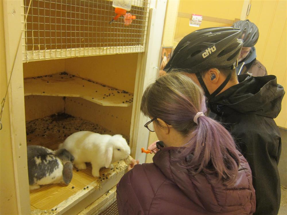 Klikk for stort bilde