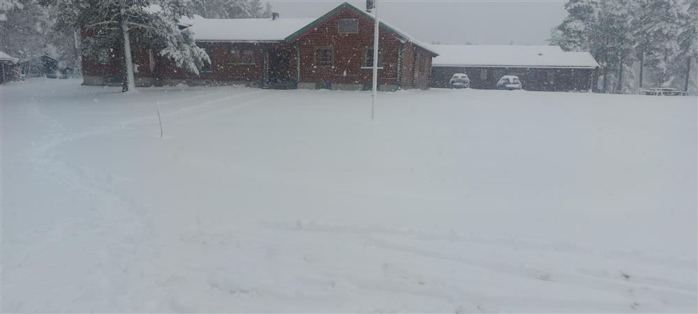 Klikk for stort bilde