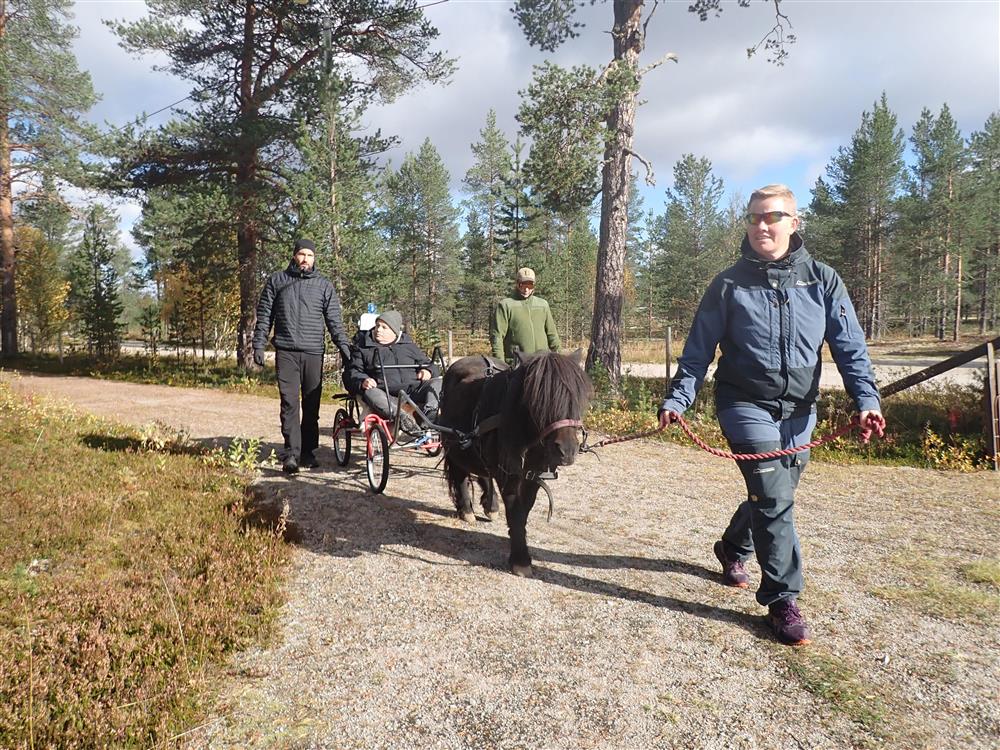 Klikk for stort bilde