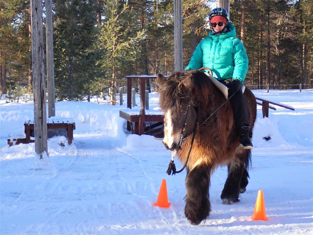 Klikk for stort bilde